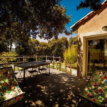 Clos Des Coustoulins Lacoste (Herault)